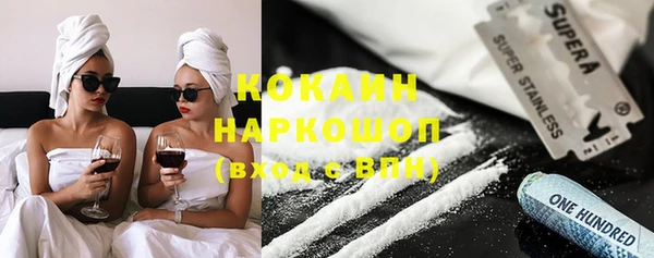 дживик Новозыбков