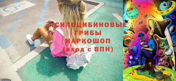 спиды Бежецк