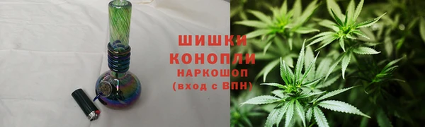 дживик Новозыбков