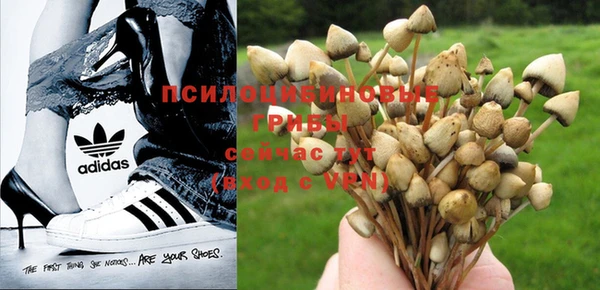 дживик Новозыбков
