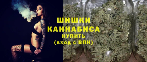 дживик Новозыбков