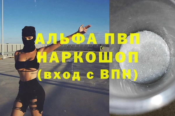 дживик Новозыбков